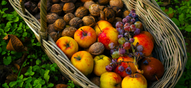 image 10 Buah untuk Darah Rendah, Efektif Jaga Tekanan Darah Stabil