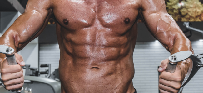 image 10 Olahraga Otot Perut Bikin Perut Jadi Sixpack