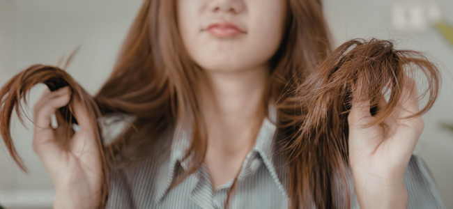 image 8 Cara Mengatasi Rambut Bercabang agar Tampak Lebih Sehat