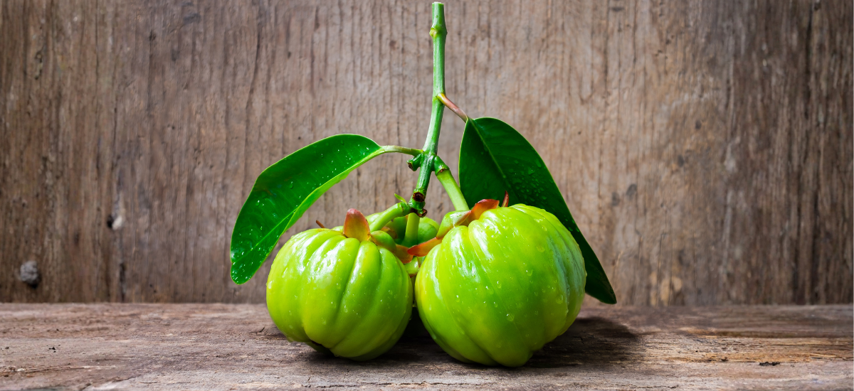 image Garcinia Cambogia: Manfaat, Efek Samping, & Aturan Pakainya