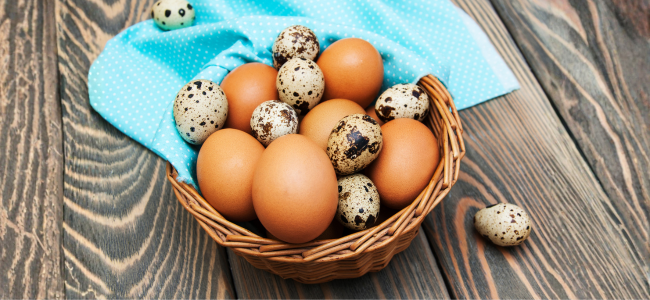 image Kandungan Protein Telur dan Manfaatnya untuk Kesehatan Tubuh