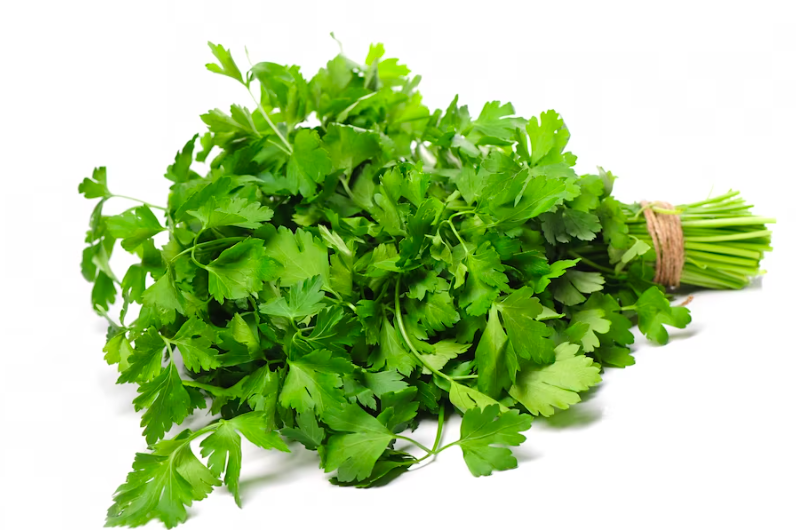 image 4 Obat Penurun Darah Tinggi Alami Paling Cepat