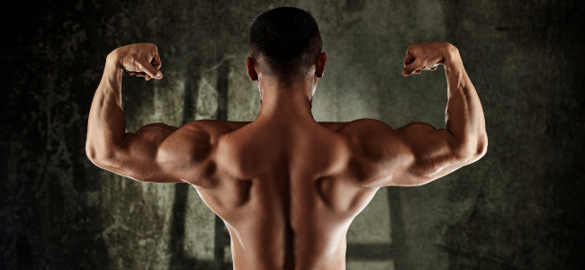 image 5 Cara Melatih Otot Punggung yang Efektif, Bisa Coba Dirumah!