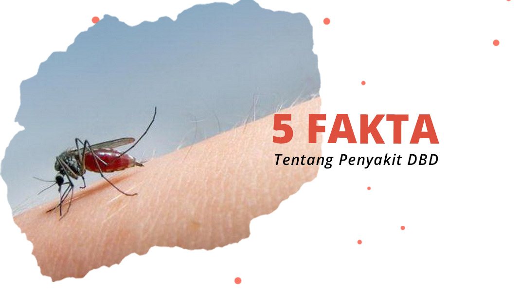 image 5 Fakta Penting Tentang Demam Berdarah