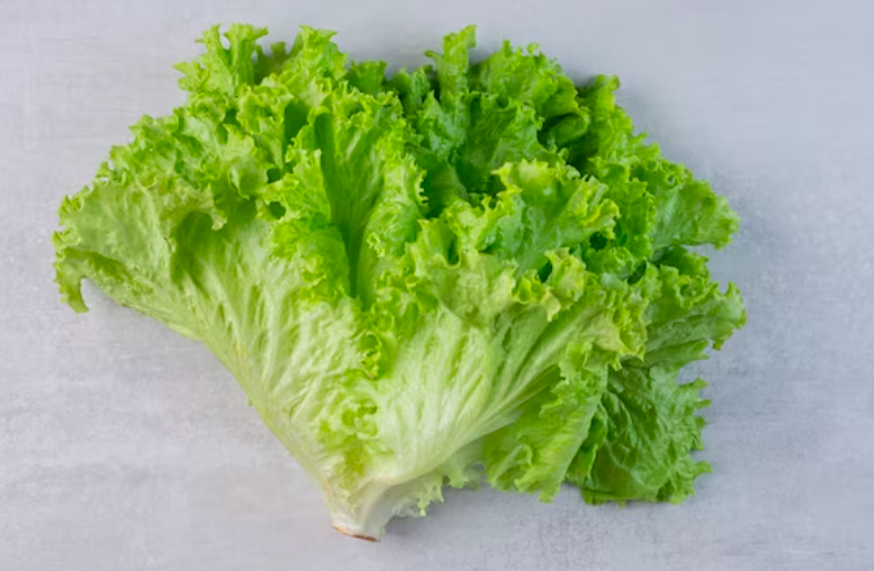 image 5 Jenis Sayuran Yang Bagus Untuk Diet