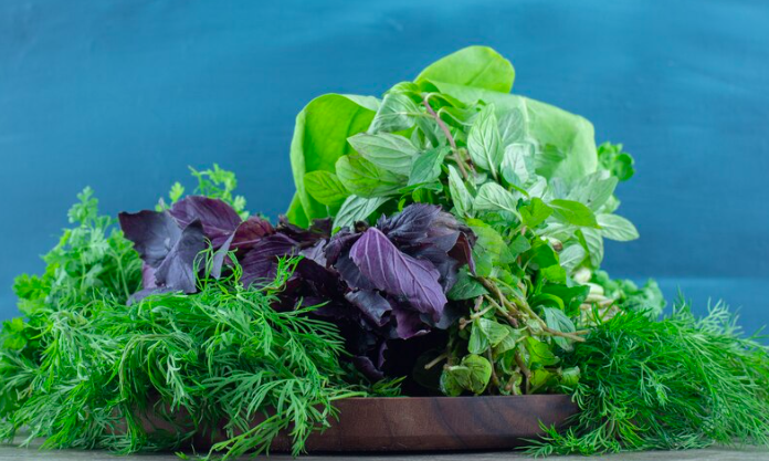 image 5 Jenis Sayuran Yang Bagus Untuk Diet dan Mudah Di Olah