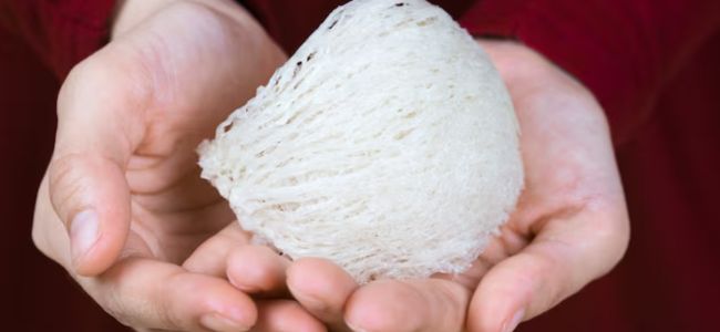 image 5 Manfaat Sarang Burung Walet untuk Kesehatan dan Kecantikan!