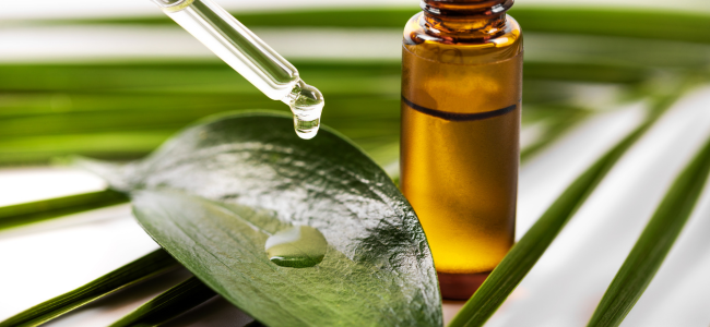 image 5 Manfaat Tea Tree Oil untuk Wajah, Cara Alami Atasi Jerawat