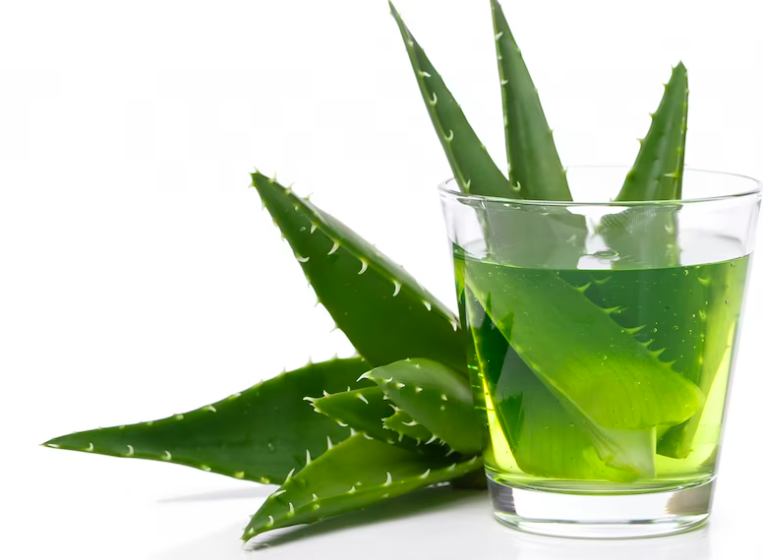 image 5 Obat Gatal Kulit Alami yang Mudah Ditemukan di Rumah