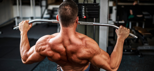 image 7+ Latihan Back di Gym untuk Bentuk Punggung Lebar!
