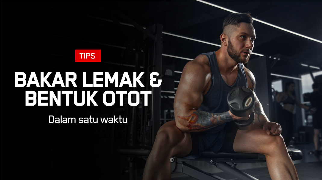 image 7 Tips Ampuh Cara Membakar Lemak Sekaligus Membentuk Otot Dengan Sempurna