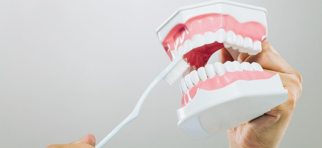 image 8 Penyebab Gigi Keropos di Usia Muda, Benarkah Karena Rokok?