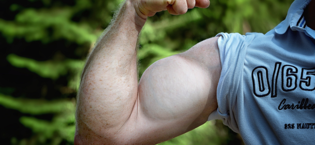 image Apa Itu Hypertrophy dan Bagaimana Cara Meningkatkannya?