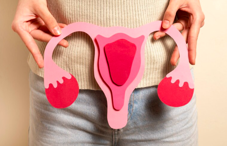 image Apa Itu PCOS – Mengenal Gangguan Kesehatan Pada Wanita Usia Subur