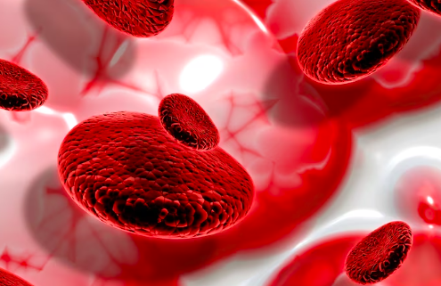 image Apa Itu Thalasemia dan Cara Pengobatannya?