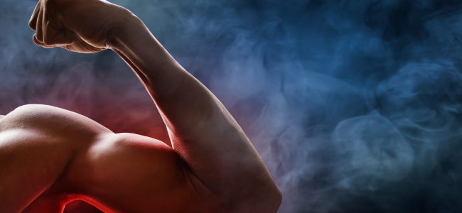 image Cara Membentuk Otot Lengan Tanpa Alat Hanya dalam 10 Menit di Rumah