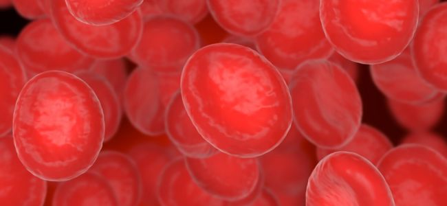 image Cara Menaikkan HB dengan Cepat dan Alami Tanpa Obat