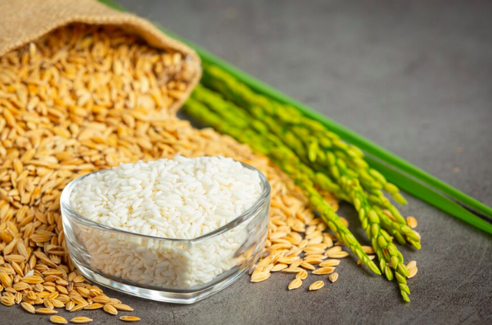 image Ingin Gemuk? Konsumsilah Beberapa Makanan Tinggi Kalori Ini