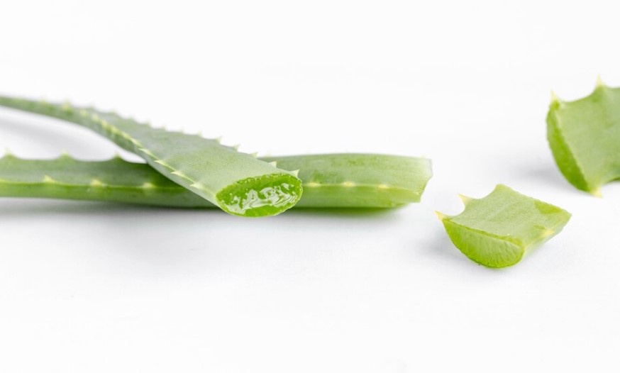 image Ini Dia 5 Makanan Mempercepat Penyembuhan Luka Lambung yang Wajib Diketahui