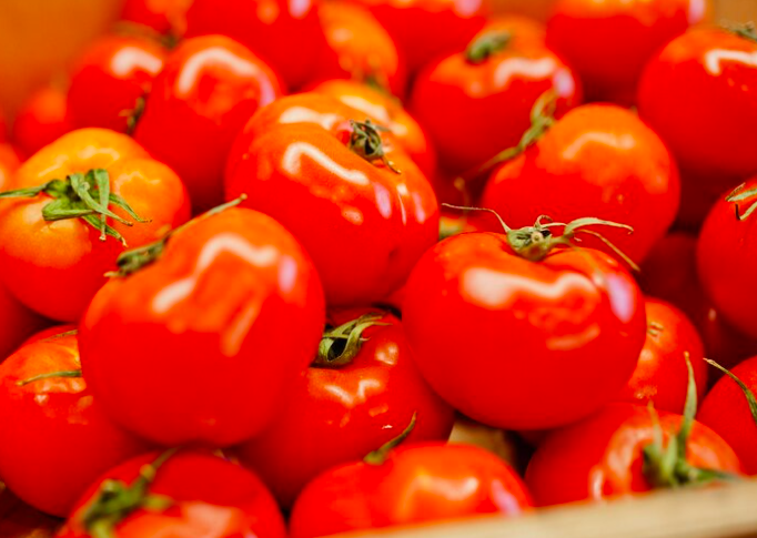 image Jenis – Jenis Makanan Yang Mengandung Vitamin A