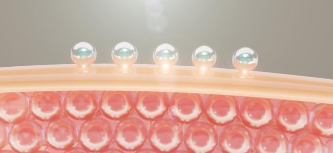 image Kenali 5 Ciri-Ciri Skin Barrier Rusak dan Cara Memperbaikinya!