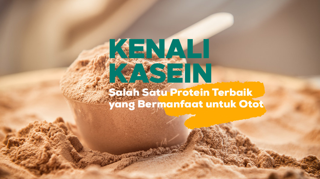 Kenali Kasein, Salah Satu Protein Terbaik Yang Bermanfaat Untuk Otot