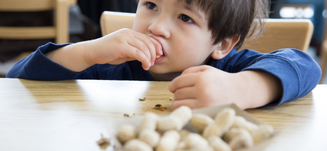 image Kenali Penyebab Alergi Makanan pada Anak dan Cara Mengatasinya