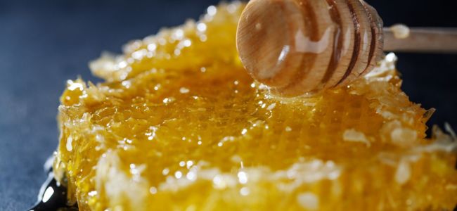 image Ketahui 5 Manfaat Propolis untuk Kesehatan Tubuh, Wajib Tahu!