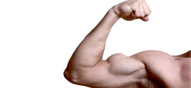 image Ketahui 6 Tanda Otot Berkembang dan Faktor yang Mempengaruhinya!