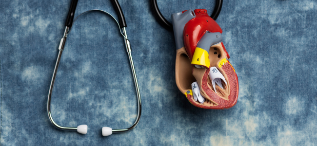 image Kolesterol LDL: Jenis Kolesterol Jahat yang Harus Dikontrol!