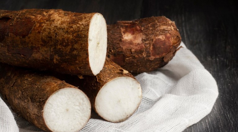 image Menggali Manfaat Kalori Singkong Rebus: Pilihan Sehat untuk Gaya Hidup Aktif