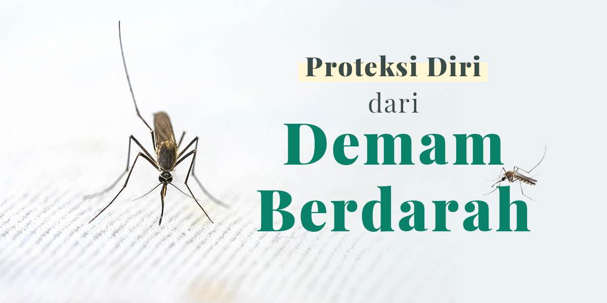 image Musim Hujan, Waspada Demam Berdarah!