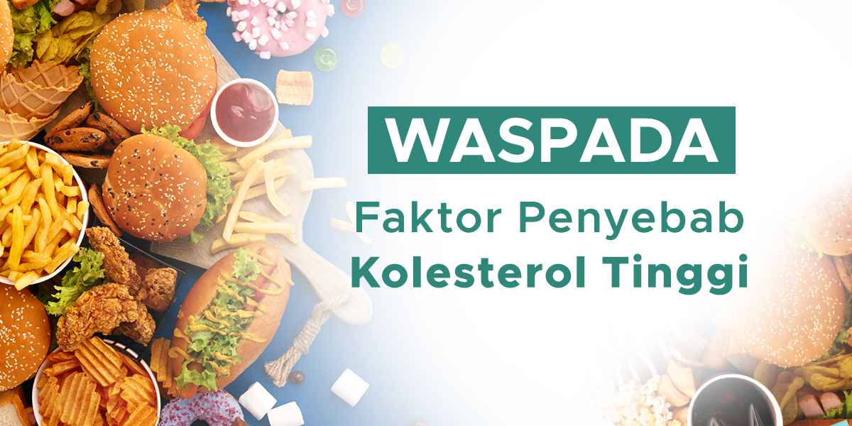 image Penyebab Kolestrol Tinggi yang Harus Diwaspadai