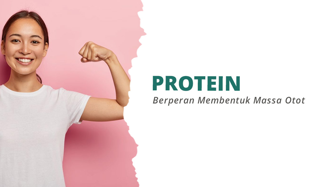 image Ketahui 5 Manfaat Protein untuk Otot agar Latihan Lebih Maksimal