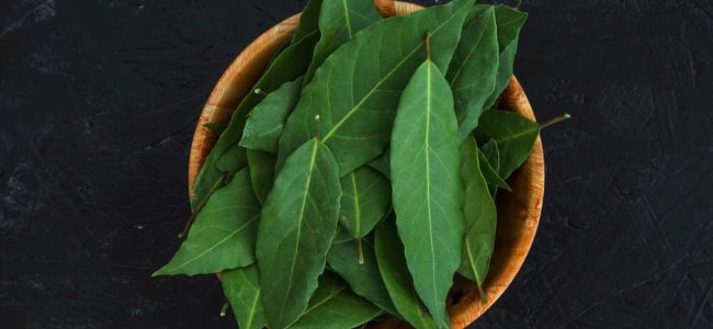 image Rebusan Daun Apa yang Bisa Menurunkan Darah Tinggi? Ini 8 Jenisnya!