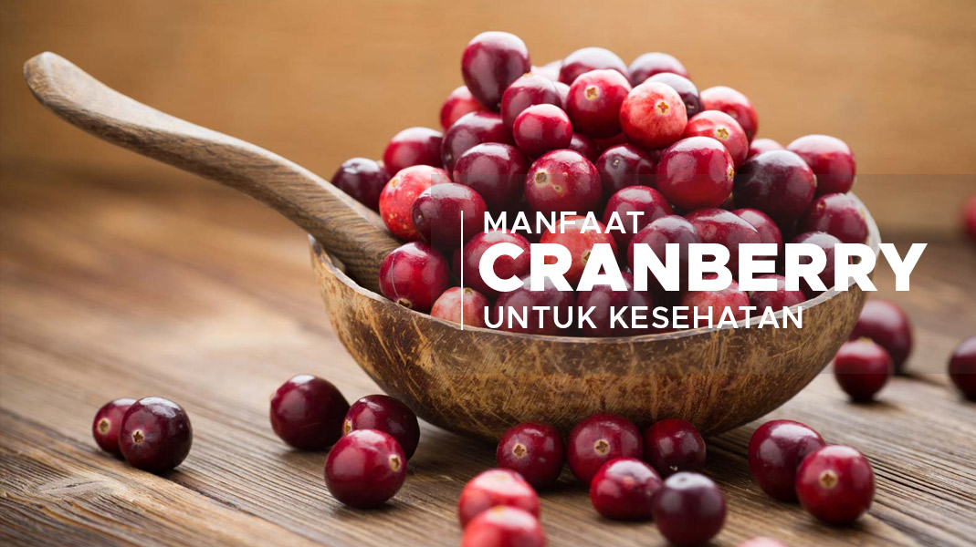 Si Kecil Kaya Manfaat, Kenali Berbagai Manfaat Buah Cranberry