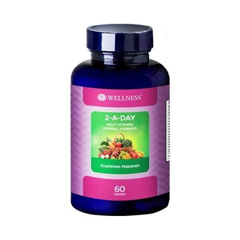 Wellness 2 A Day Multivitamin Formula