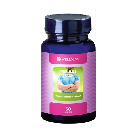 Wellness Tribulus Stack - suplemen stamina pria