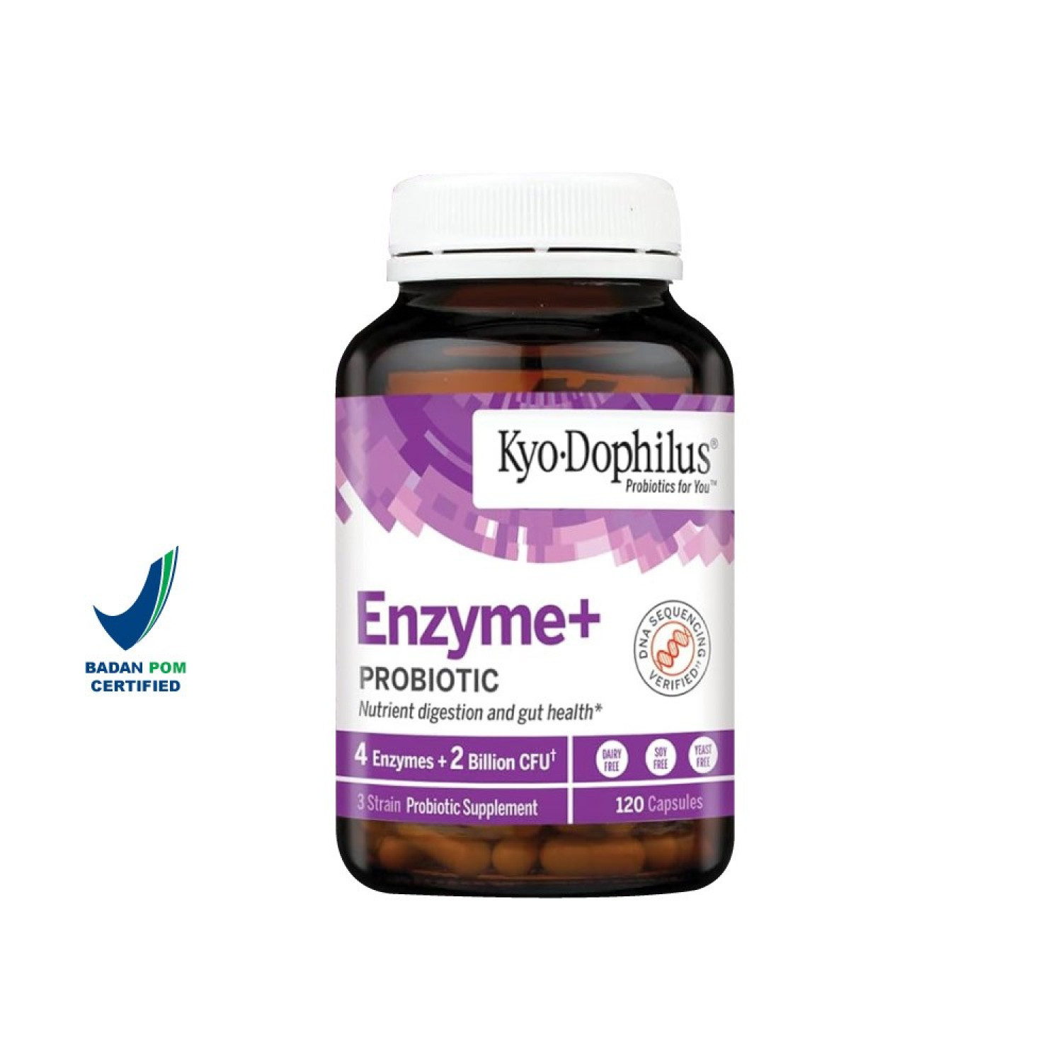 Kyolic Dophilus With Enzymes + Probiotic