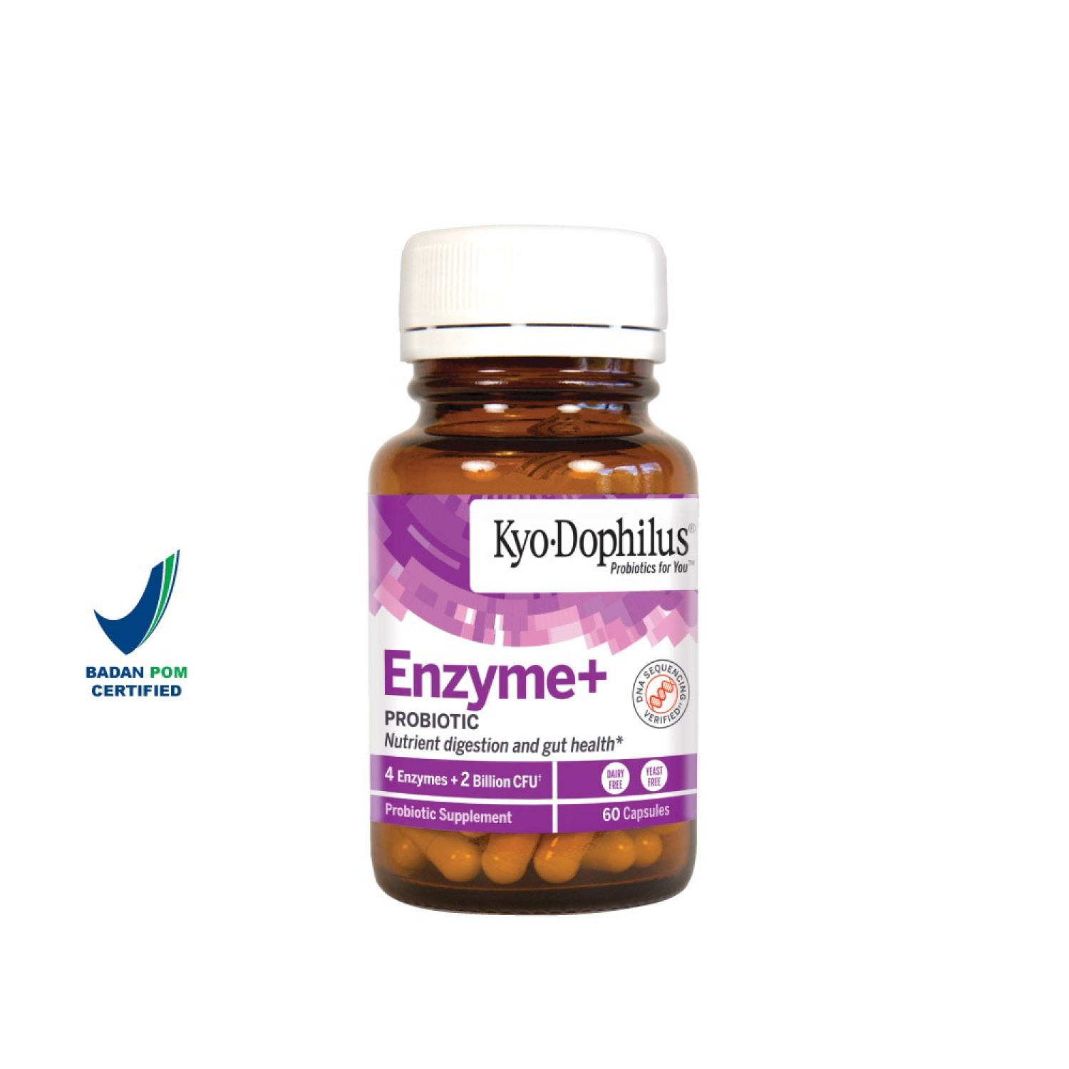 Kyolic Dophilus With Enzymes + Probiotic - vitamin probiotik