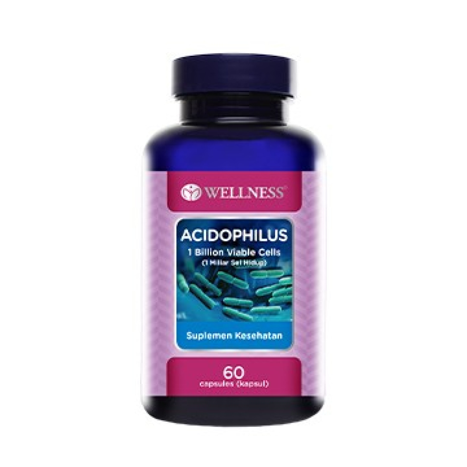 Wellness Acidophilus