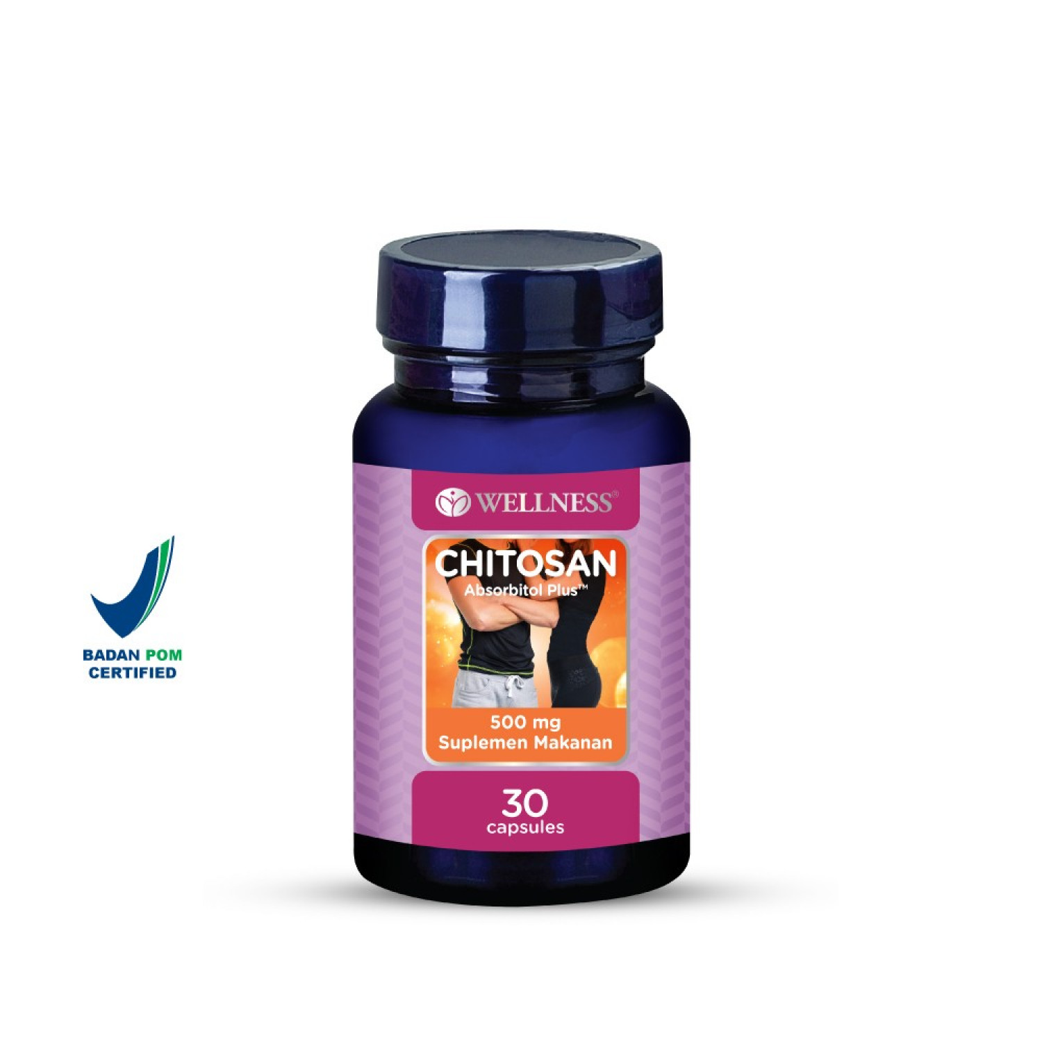 Wellness Wellness Chitosan 500 mg