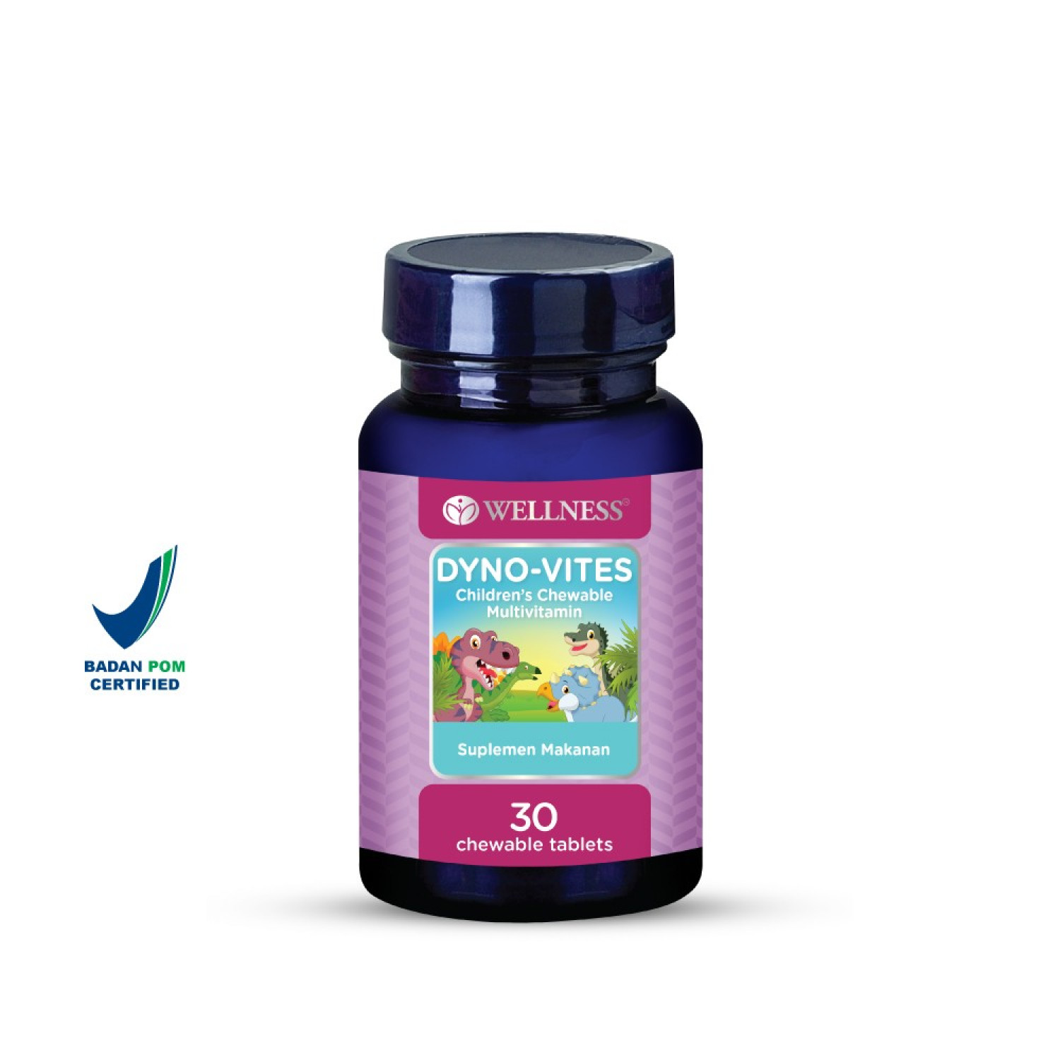 Wellness undefined