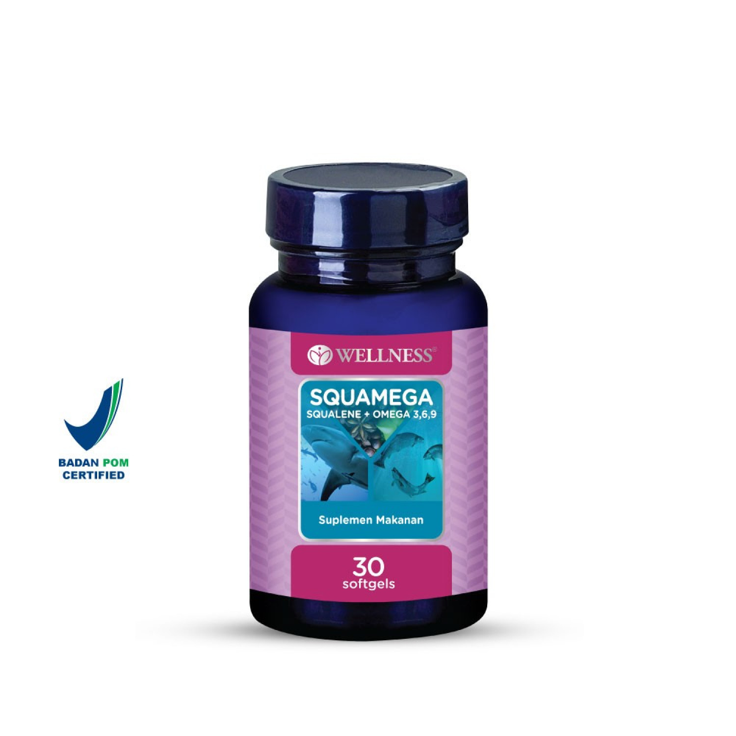 Wellness undefined